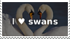 swan